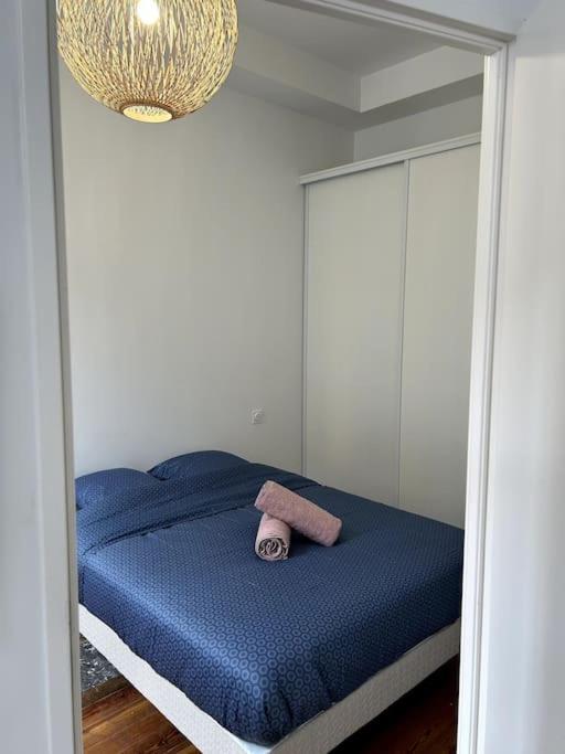 Le Toulousain 002 - Appartement Cosy En Hypercentre - Quartier Jeanne D'Arc Tolosa Esterno foto